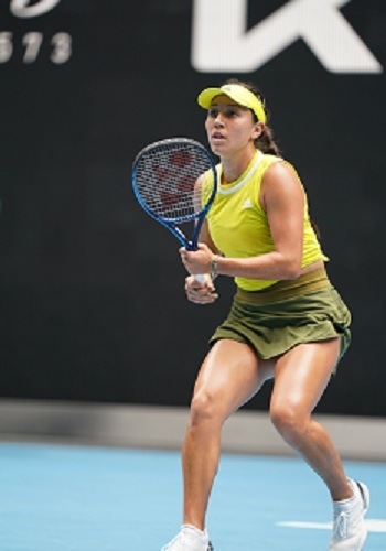 坚韧不拔的 坚韧不拔的